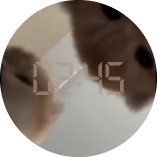 Kitty-Kitty NZXT Kraken LCD clock screen with a curious cat pawing at the camera and a faint outlined digital clock